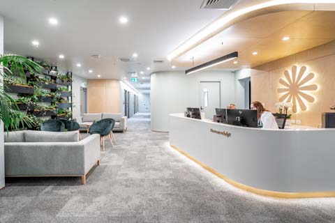 Vivid Electrical - Parnell